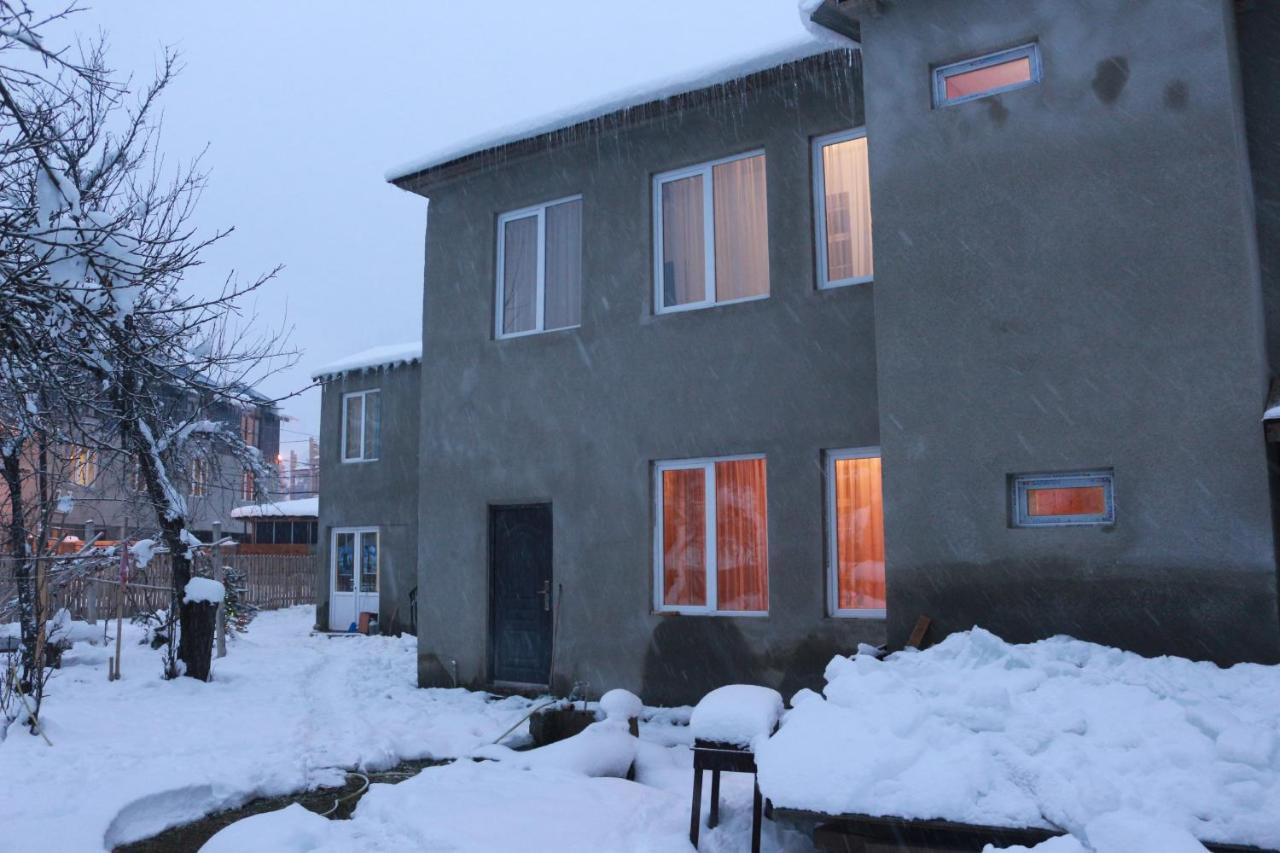 Inga Jafaridze Guesthouse Pele Mestia Exterior photo